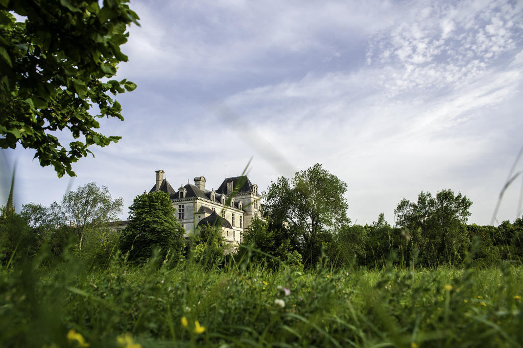Hotel Restaurant Du Chateau De La Tour Beguey Exterior foto